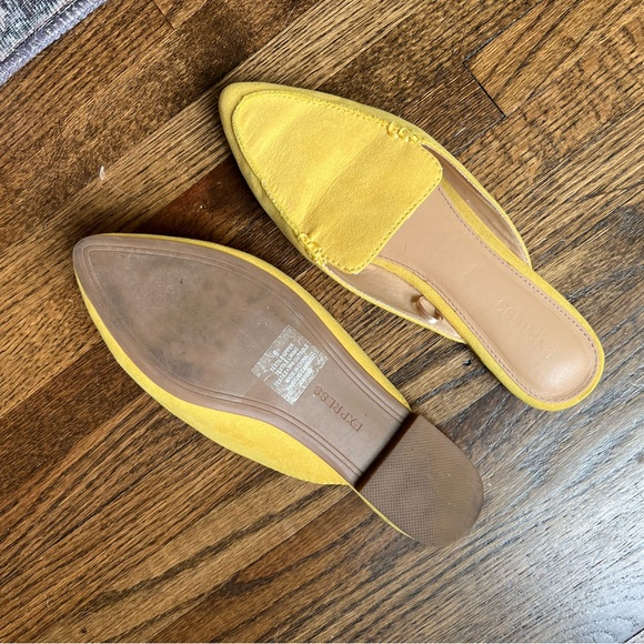 Express Slides - Picture 2 of 2